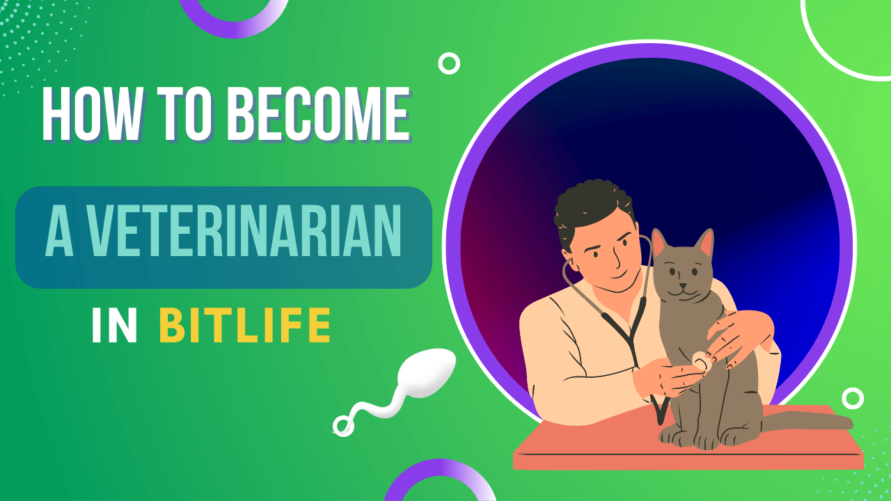 How To A Veterinarian In Bitlife KiwiPoints