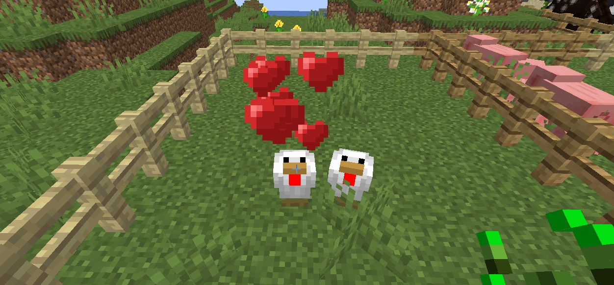 How to Breed Chickens in Minecraft KiwiPoints