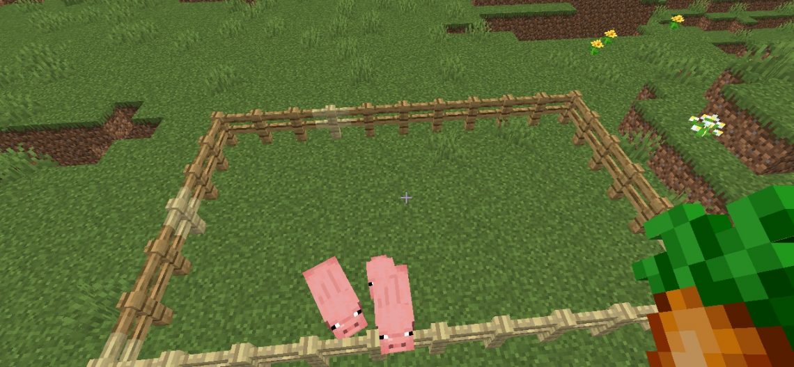 How to Breed Pigs in Minecraft KiwiPoints