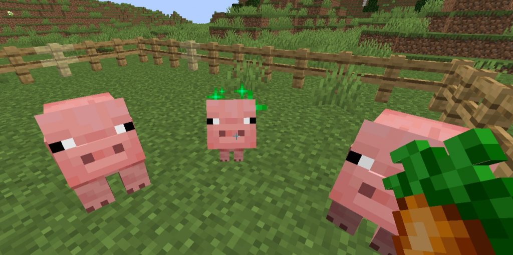 How to Breed Pigs in Minecraft KiwiPoints