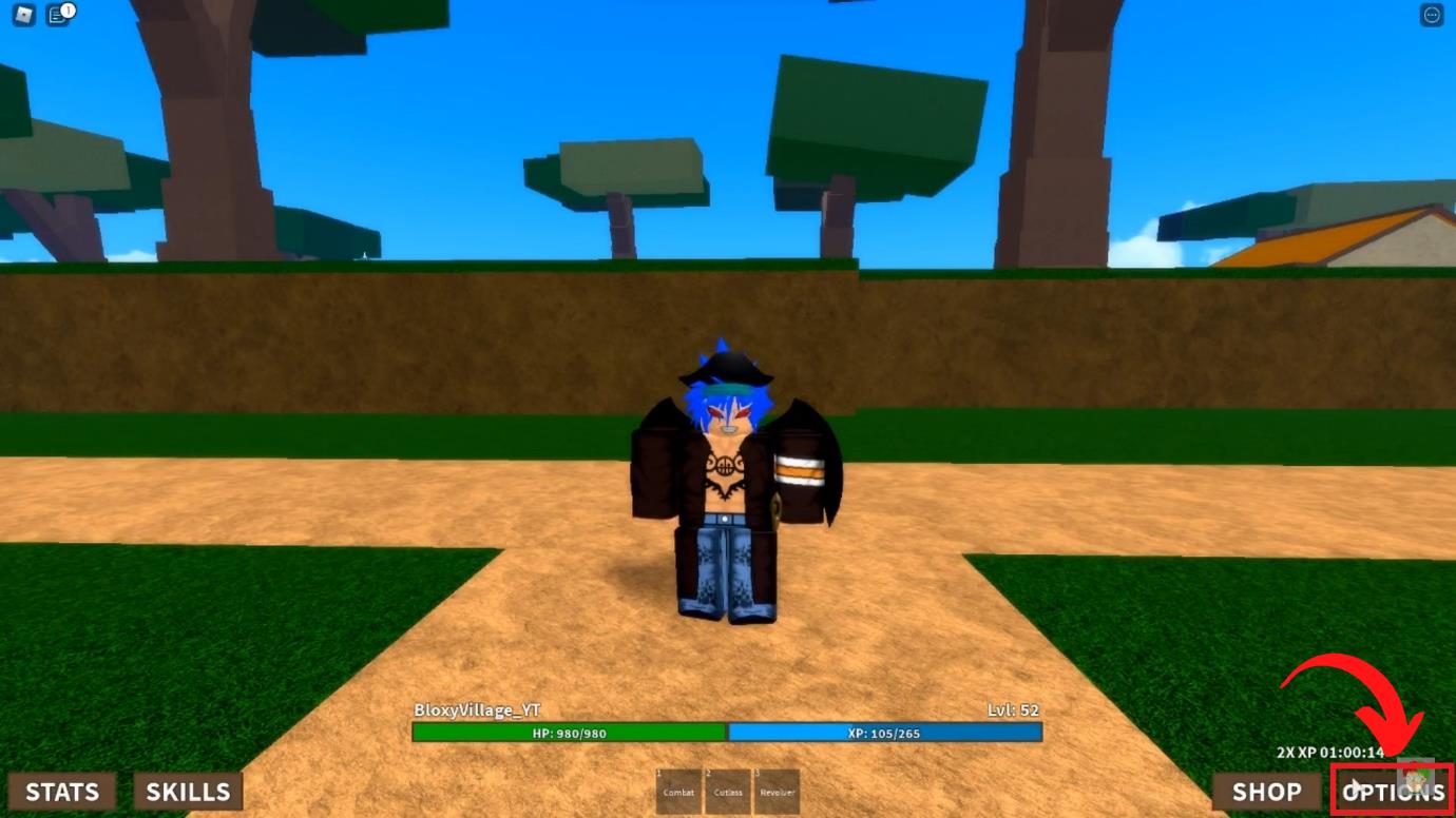 Roblox Project One Piece Codes (August 2024) KiwiPoints