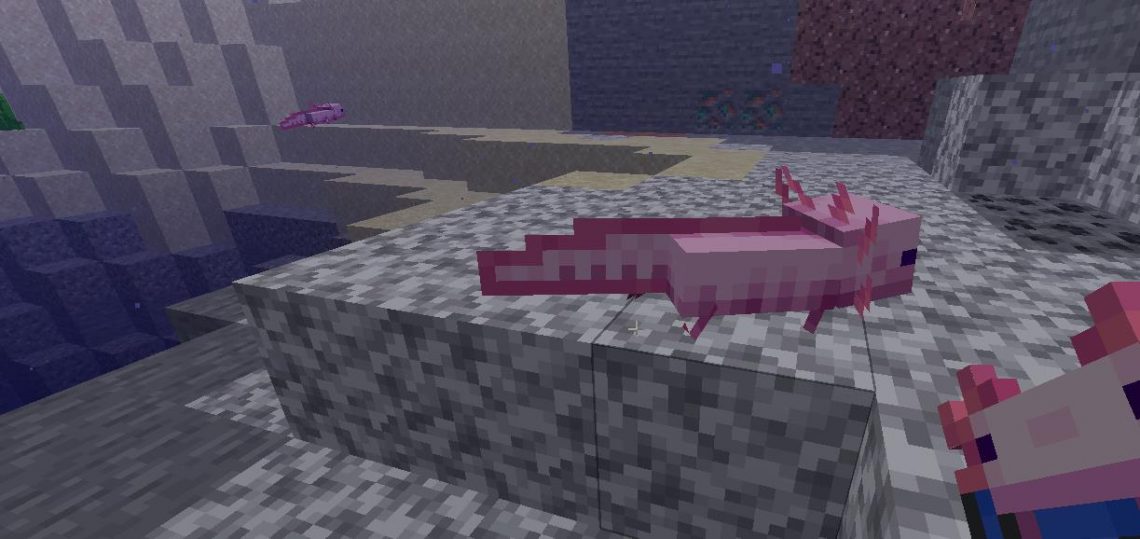 How to Summon an Axolotl in Minecraft KiwiPoints