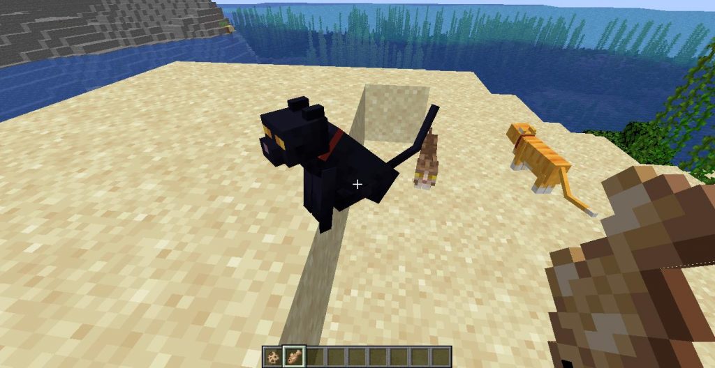 How to Summon a Black Cat in Minecraft KiwiPoints