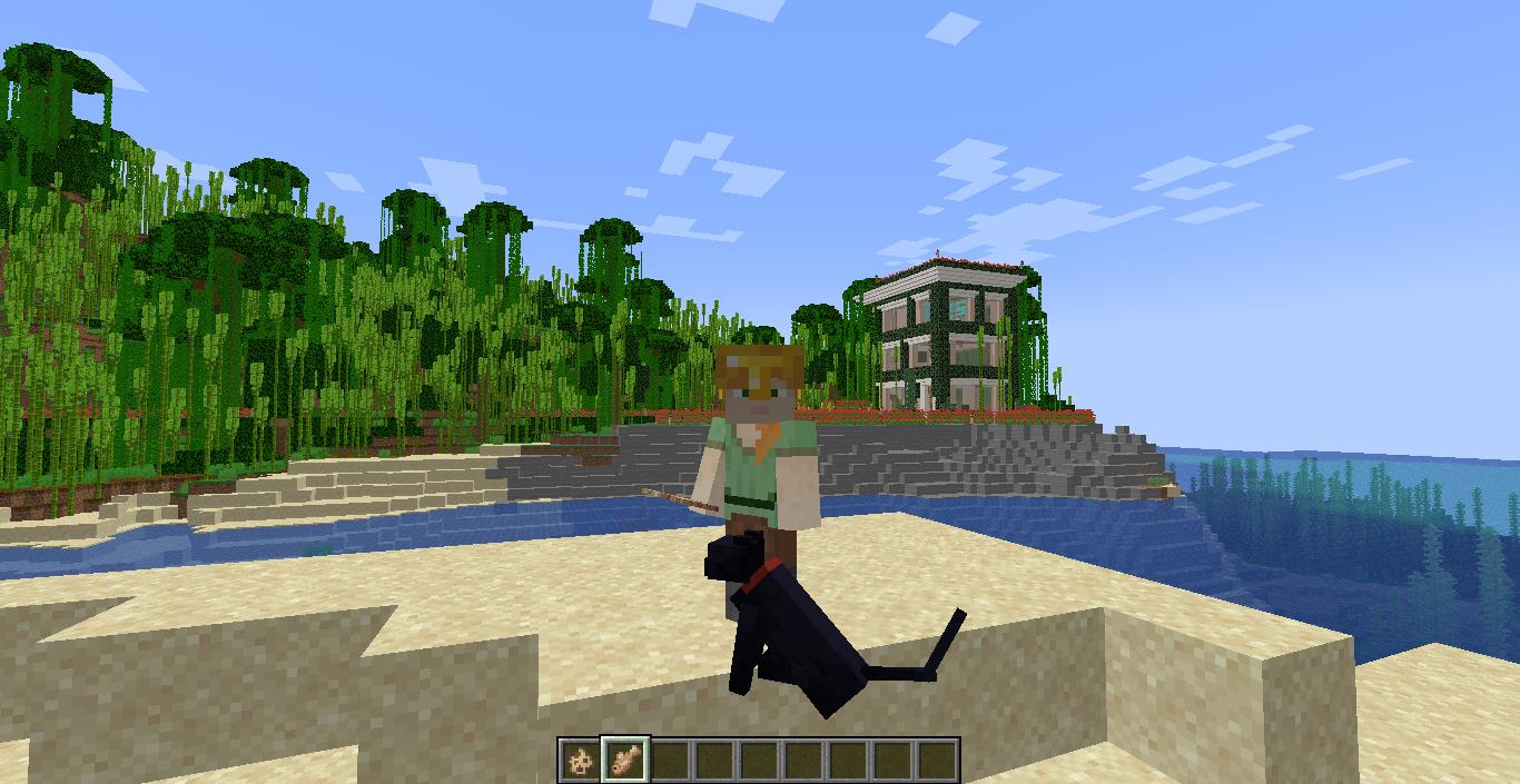 How to Summon a Black Cat in Minecraft KiwiPoints