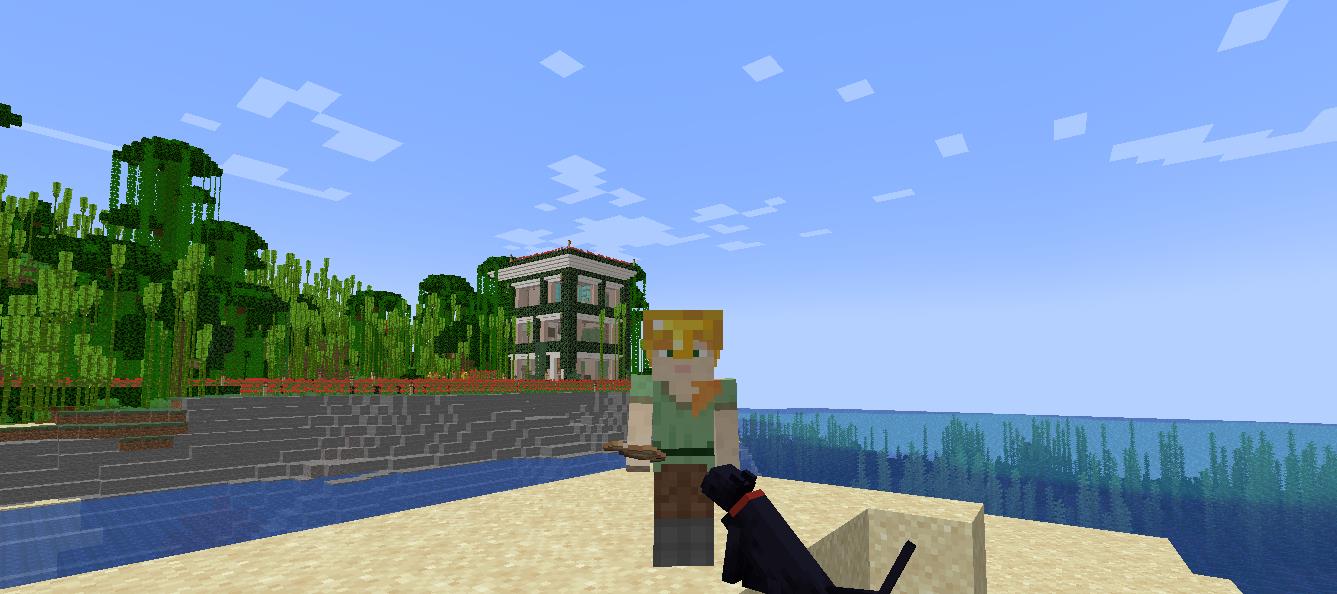 How to Summon a Black Cat in Minecraft KiwiPoints