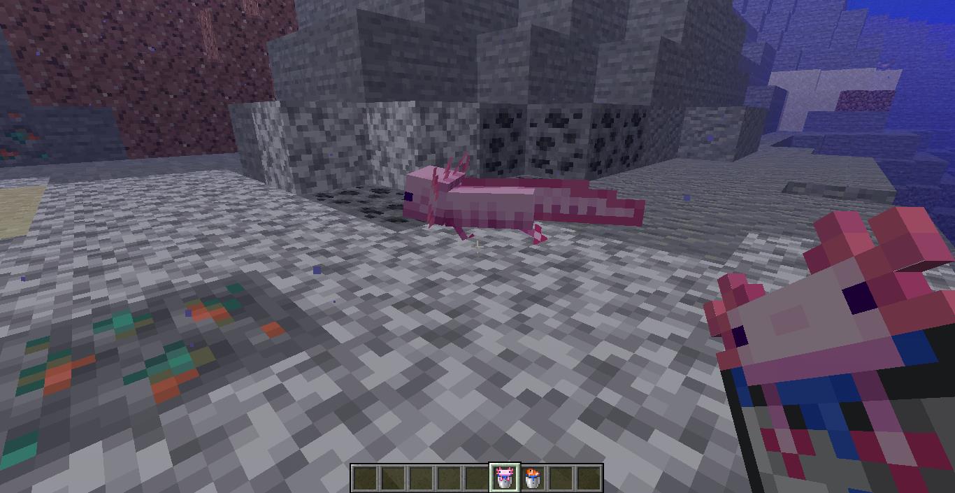 How to Breed Axolotls in Minecraft KiwiPoints