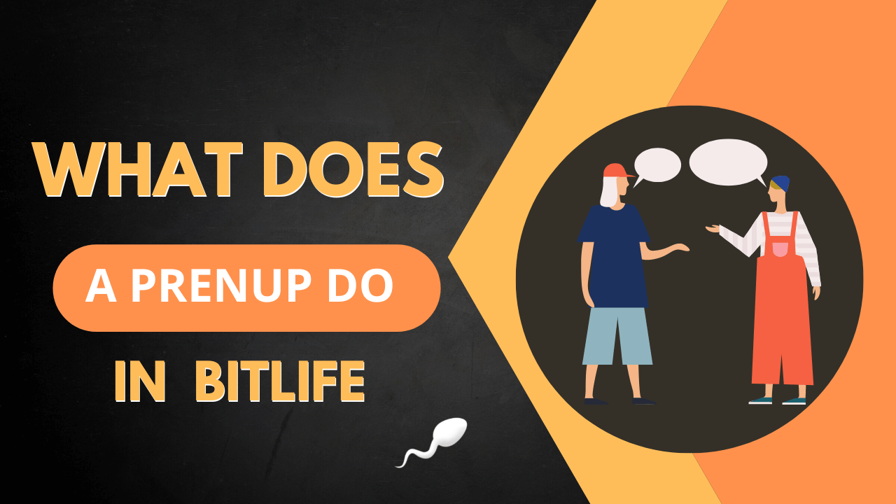 What Does A Prenup Do In Bitlife KiwiPoints