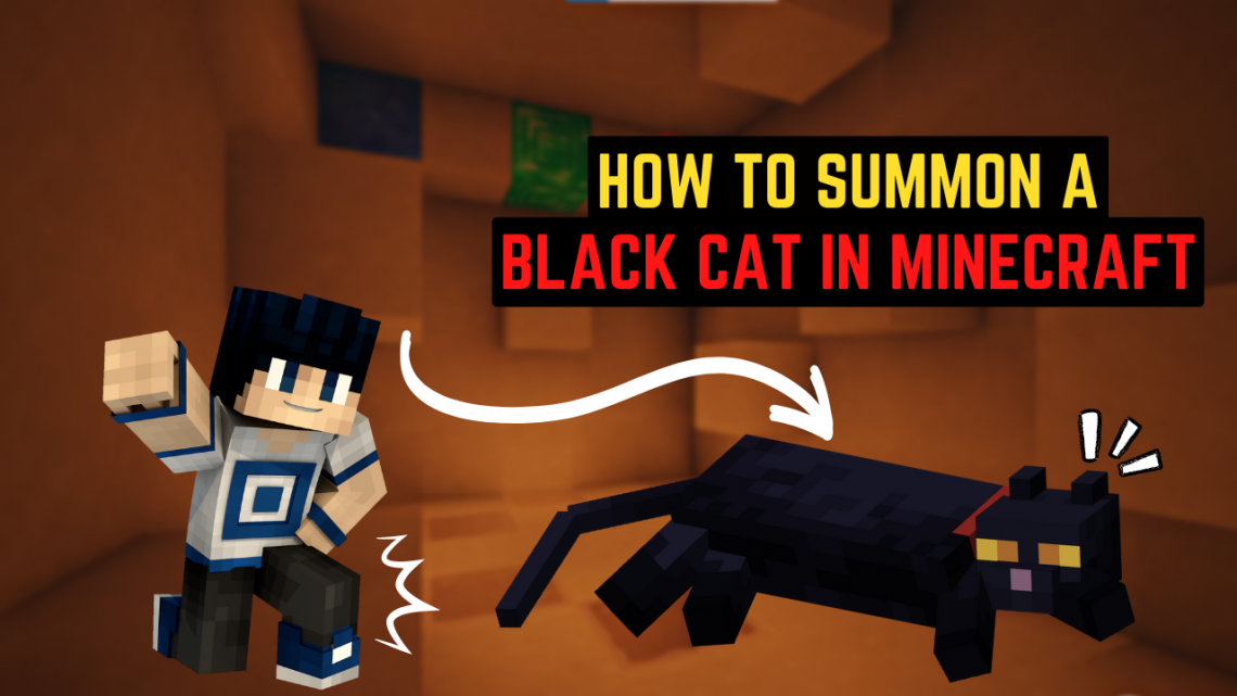 How to Summon a Black Cat in Minecraft KiwiPoints
