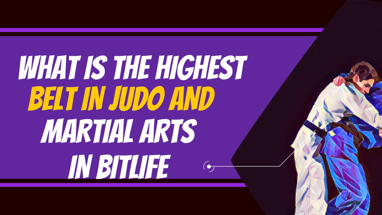 What Is The Highest Belt In Judo And All Martial Arts In Bitlife