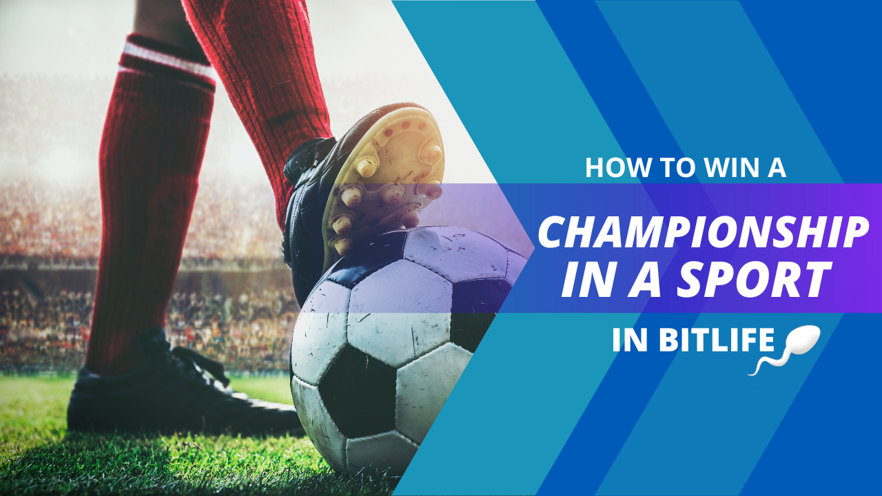 How To Win A Championship In A Sport In Bitlife KiwiPoints