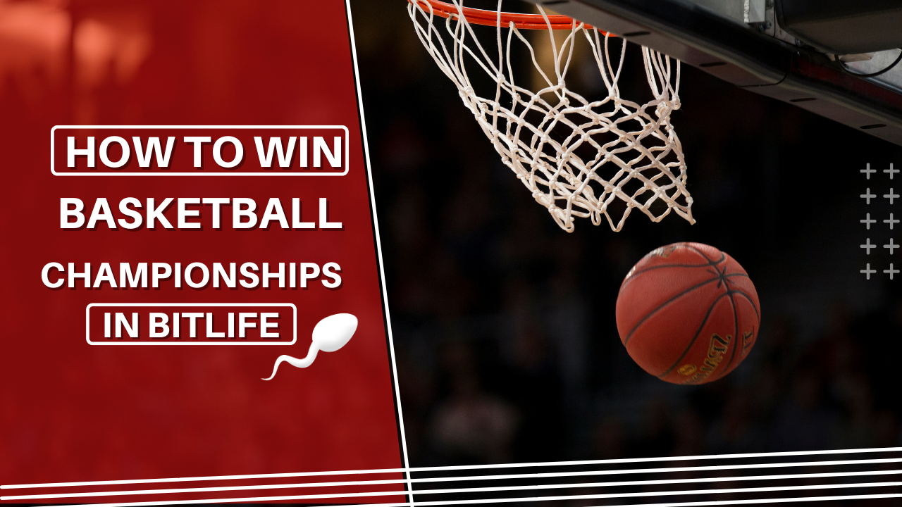 How To Win Basketball Championships In Bitlife KiwiPoints